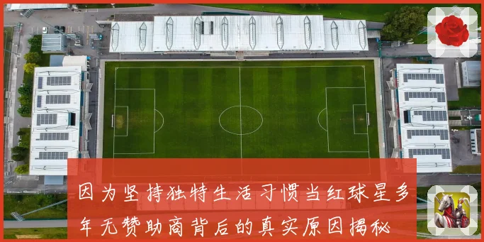 因为坚持独特生活习惯当红球星多年无赞助商背后的真实原因揭秘