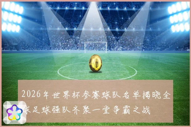 2026年世界杯参赛球队名单揭晓全球足球强队齐聚一堂争霸之战